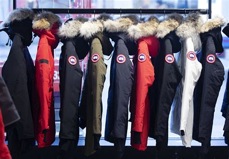 canada goose australia.